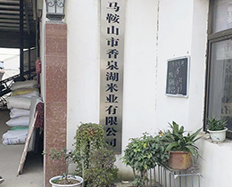 生產實拍